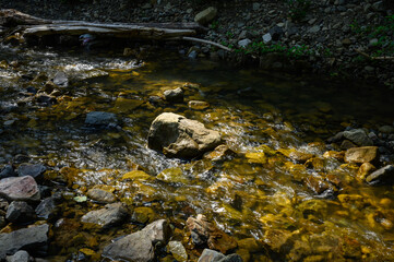 Mountain river water landscape. Wild river in mountains