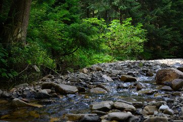Mountain river water landscape. Wild river in mountains