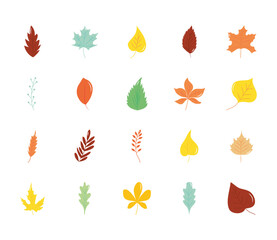 icon set of dry leaves and autumn leaves, flat style