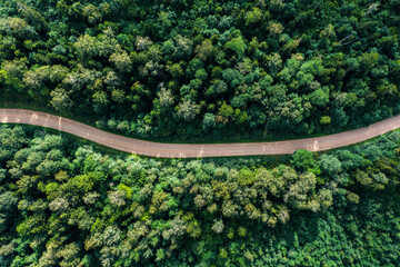 Aerial view of the dirt road passing through the forest