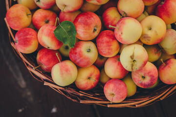 yellow and red apples in basket