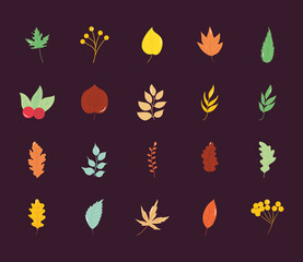 berries and autumn leaves icon set, flat style