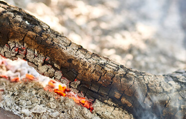burning coals from the fire smolder on the ground