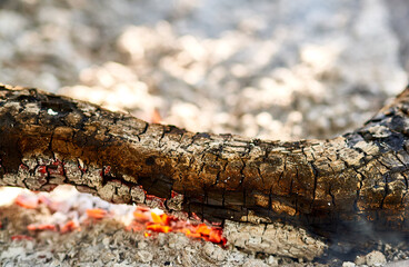 burning coals from the fire smolder on the ground