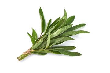 Bunch of sage, isolated on white background