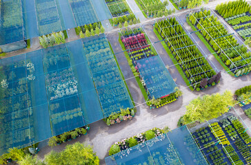 Fototapeta premium Shop or nursery of ornamental plants. Drone view