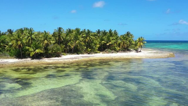 Tropical shore with coconut palm trees on island near caribbean sea. Dominican Republic. Aerial view from copter
