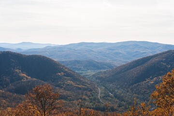 Autumn forest landscape with mountains on the horizon in orange colors in the fall.