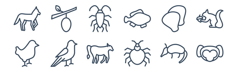 12 pack of icons. thin outline icons such as ape, bedbug, canary, clam, cockroach, cocoon for web and mobile apps, logo