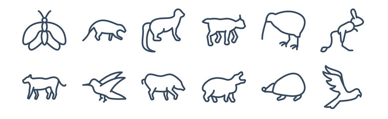 12 pack of icons. thin outline icons such as hawk, hippo, humming bird, kiwi bird, marten, mongoose for web and mobile apps, logo