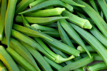 Harvested lady finer .
