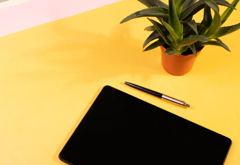a black laptop and a plant