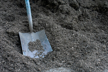 Fototapeta premium A Gardening Shovel in a Large Pile of Black Mulch