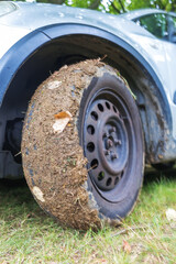 Fototapeta na wymiar vehicle tire covered with mud