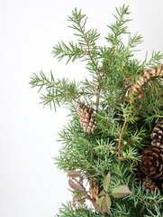 Fototapeta premium Christmas decor with wild berries, conifer cones, spruce branches on white background