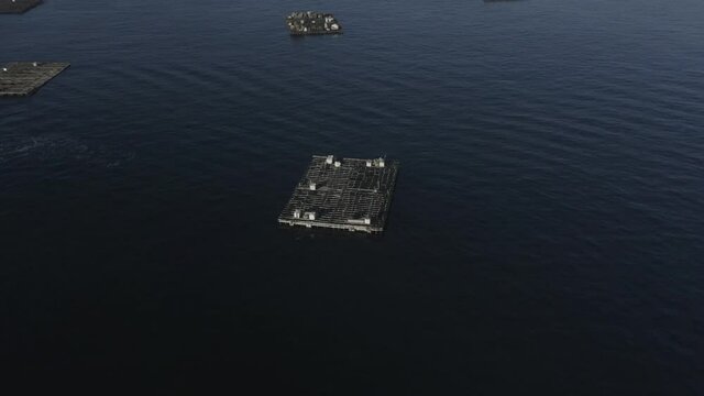 Bateas donde crecen los mejillones.