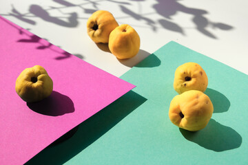 Autumn ripe yellow quince fruits on pink and mint green layered paper. Minimal style, Fall background, isometric view with shadows from the fruits and eucalyptus twig.