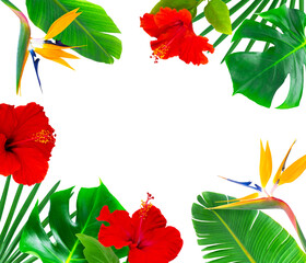 Frame with colorful tropical leaves and flowers.