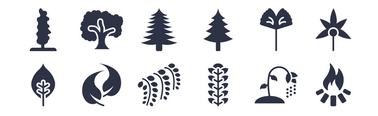 12 pack of black filled icons. glyph icons such as camping bonfire, american mountain ash, falcate, ginkgo, spruce tree, white spruce tree, sycamore tree for web and mobile apps, logo