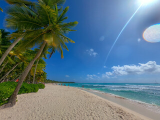 beach with palm trees in saona island in Dominican Republic 