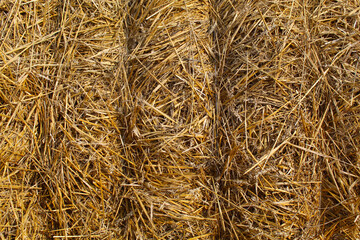 bale of hay (straw), background image, pattern, can be used as a screen saver