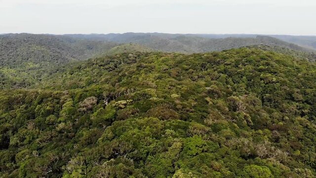 Vista de drone de mata atl&acirc;ntica preservada no Parque Estadual Carlos Botelho situado na Serra de Paranapiacaba
