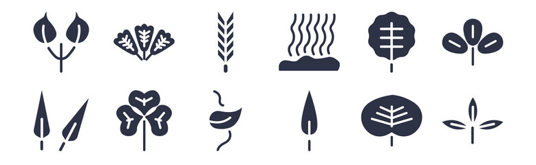 12 pack of black filled icons. glyph icons such as pinnation, lanceolate, trifoliate ternate, orbicular, fasciculate, escuamiforme, obcordate for web and mobile apps, logo