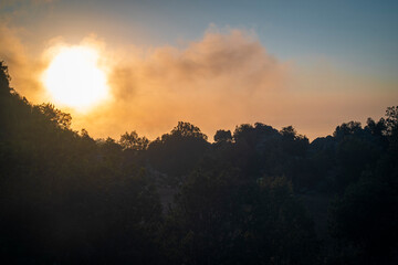 Orange sunset with rough shadows from the top of the trees.