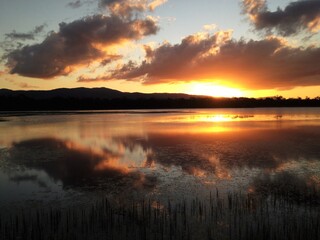 Fototapeta na wymiar Stunning sunset Mareeba Wetlands