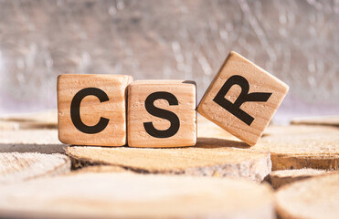 CSR words on wooden blocks with blurred backround
