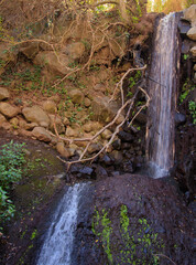 waterfall in the forest