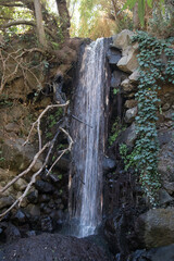 waterfall in the woods