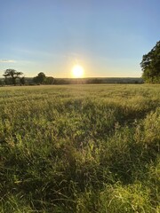 Coucher de soleil sur un champ de blé, Bourgogne