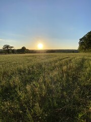 Coucher de soleil sur un champ de blé, Bourgogne