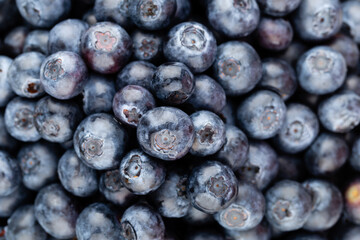 Fresh blueberry background. Texture blueberry berries close up.