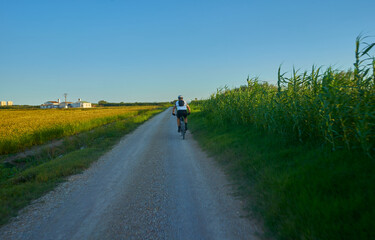 Obraz premium Cyclist with mountain bike, on a road between the field at sunset