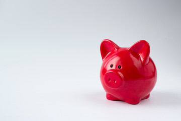 Pink piggy Bank on a white background with space for text.