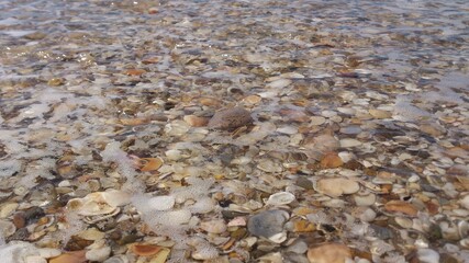 Piedras en el agua