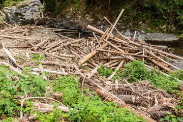 Obraz premium 災害 土石流の爪痕