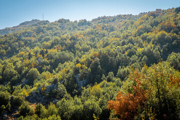 Obraz premium Beautiful mountain landscape, with mountain peaks covered with forest and a cloudy sky. Lebanese mountains, Middle East.