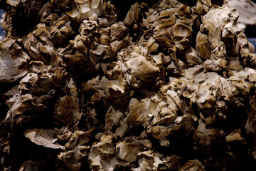 close up of clay lump