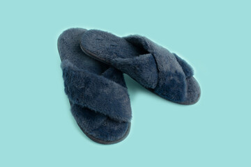 Indoor Blue home cozy slippers on a blue background.