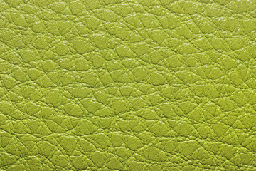 Close up shot of green leather texture
