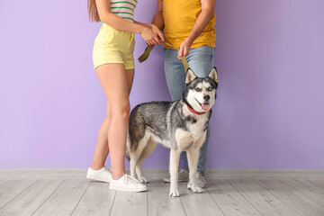 Young couple with cute Husky dog near color wall