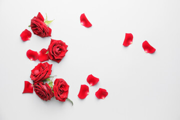 Beautiful red roses and petals on white background