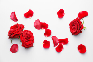 Beautiful red roses and petals on white background