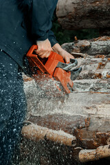 Chainsaw close-up in motion cuts wood. The man was cutting with a saw. Dust and movement.