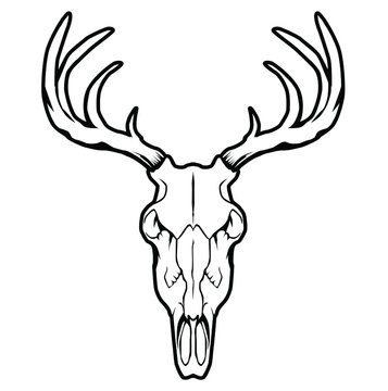 black and white illustration with deer skull object