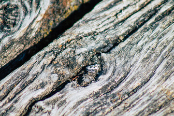 Closeup of a rustic wooden bridge spanning a pond in the french countryside in the fall