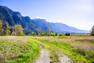 Country road to a mountainous rocky ridge in a meadow lane with grass and spring trees in Columbia Gorge